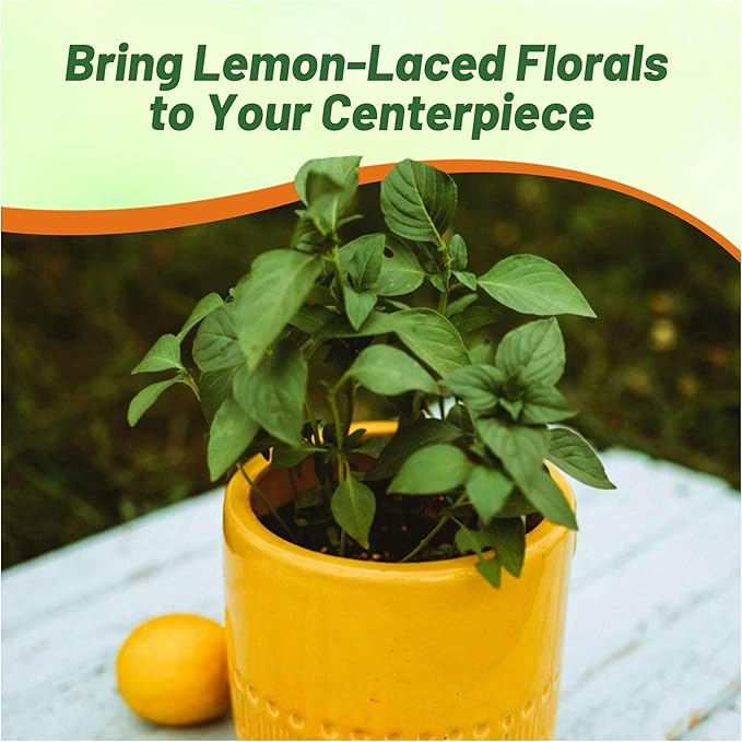 Outsidepride Lemon Basil Seeds for Planting - 1/4 lb. Easy to Grow Annual Herb Garden Seeds with Aromatic & Flavorful Foliage for Containers, Companion Planting, Indoors & Outdoors