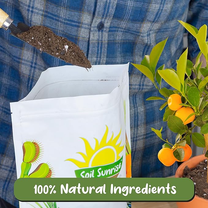 Soil Sunrise Citrus Tree Potting Soil Mix (12 Quarts) Special Blend for Indoor Oranges, Lemons, Limes and More