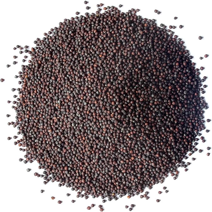Food to Live Organic Broccoli Seeds for Sprouting, 1.5 Pounds – Non-GMO, Vegan, Kosher, Sirtfood, Bulk. Rich in Sulforaphane, Vitamin C. Grow Sprouts, Microgreens for Salads, and Sandwiches