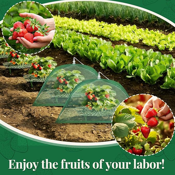 6 Sets Strawberry Plant Support with Mesh Plant Cover, Strawberry Growing Rack Kit with 24 Iron Plant Nails for Garden, Strawberry Growing Frame with Protective Net for Strawberries Tomatoes Veggies