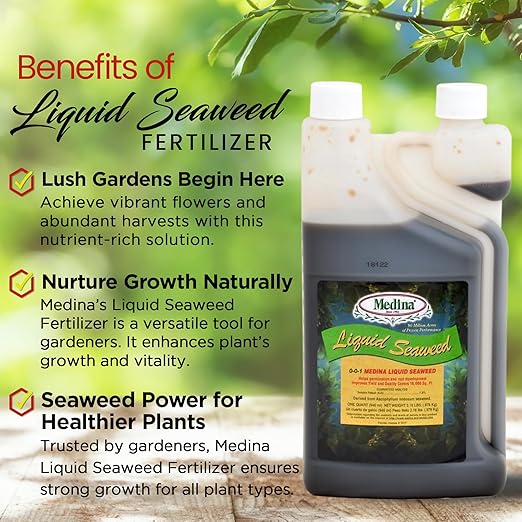 Medina Liquid Seaweed Fertilizer for Plants - Concentrated Seaweed Fertilizer for Lawn and Garden - Enhances Plant Growth and Soil Health - Ready to Spray - 1 Quart Covers 16000 Sq. Ft.