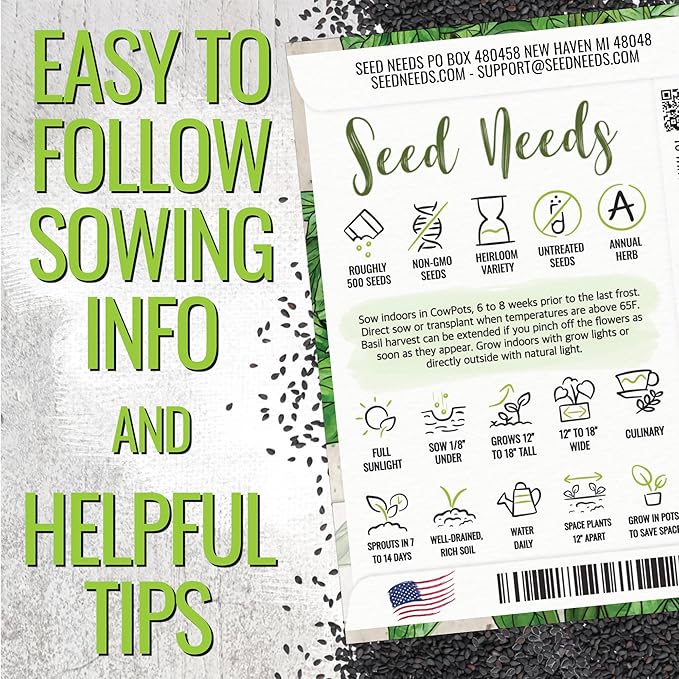 Seed Needs Sweet Genovese Basil Seeds for Planting - Non-GMO Heirloom & Untreated Culinary Herb Seed to Plant an Indoor or Outdoor Home Grown Kitchen Garden (5 Packs)