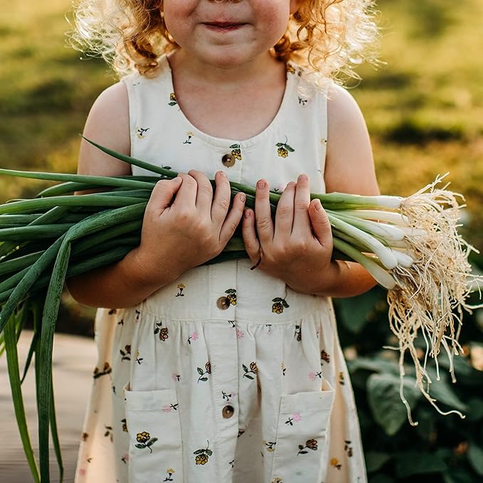 Tokyo Long White Bunching Spring (Green) Onion - 100 Seeds - Heirloom & Open-Pollinated Variety, Non-GMO Vegetable Seeds for Planting Outdoors in The Home or Kitchen Garden, Thresh Seed Company