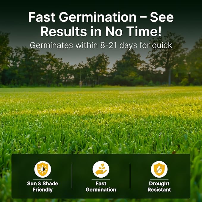 Hit List Seed Sun and Shade Tall Fescue Grass Seed Mix, Drought Resistant, Thick Lawn, Fast Germination