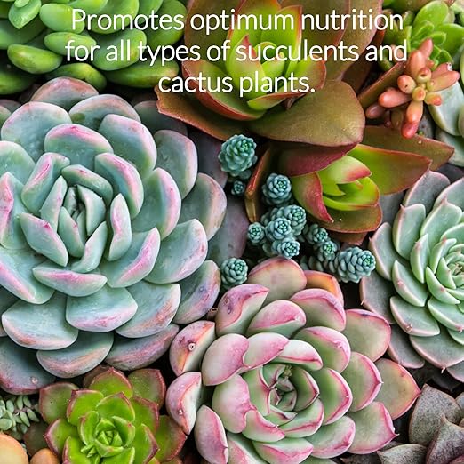 Professional Liquid Succulent Plant Fertilizer | 3-1-2 Concentrate for Plants and Flowers | Multi-Purpose Blend & Gardening Supplies | 8 oz Bottle