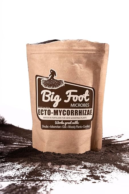 Big Foot Ecto Mycorrhizae Water Soluble Powder for Woody Plants - Shrubs, Arborvitae, Oak, Conifers, Christmas Trees - 2 Ounces