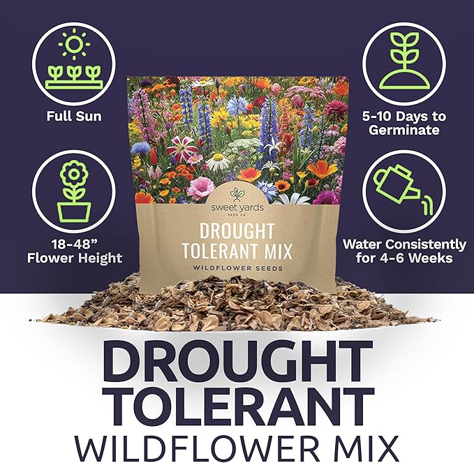 Drought Tolerant Wildflowers Mix – Extra Large Packet – Over 7,500 Open Pollinated Non-GMO Seeds – 21 Different Dryland Species