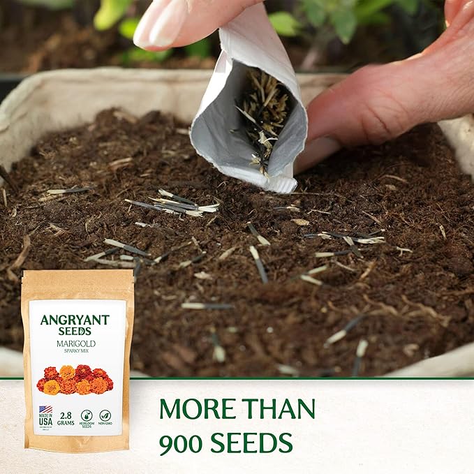 Marigold Sparky Mix Seeds - 999+ Heirloom Flower Seeds for Planting Indoors and Outdoors in Your Home Garden - Non GMO, USA Grown - Annual, Open Pollinated Wildflower Seeds Bulk for Companion Planting