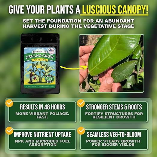 Organic Probiotic Plant Food – Fast-Acting with Microbes & Amino Acids 8-2-6 + 3% Calcium for All Garden Types Organo Grow | Boost Growth & Health (1, Pounds)