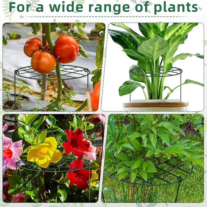 6 Pack Peony Cages and Supports 12 x 16 Inch Grow Through Plant Supports for Outdoor Plants,Plant Brace Flower Support Rings Hoops for Vegetables,Rose,Tomato,Orchids