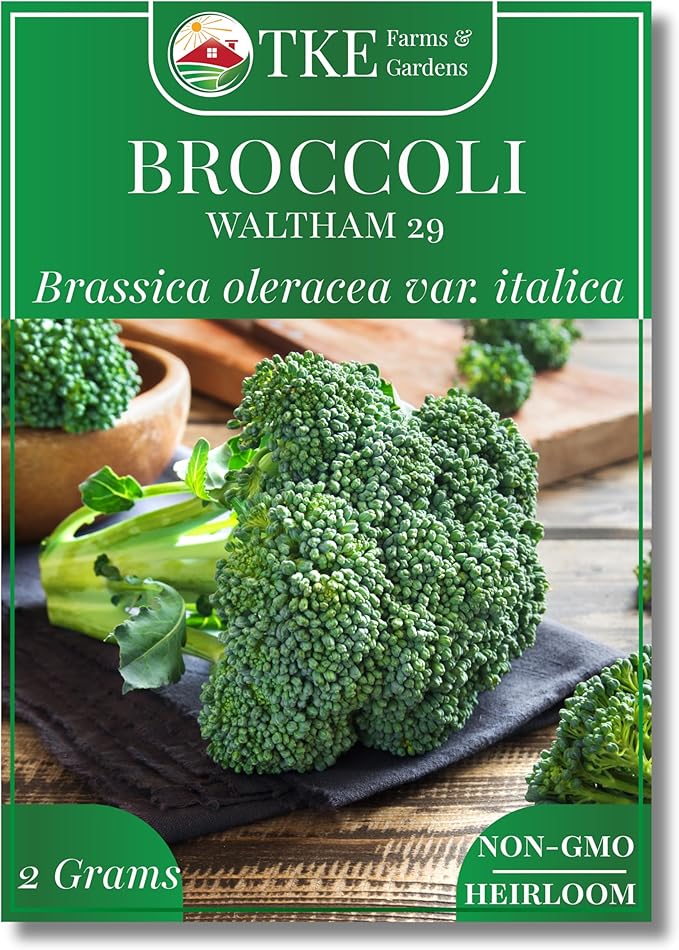 TKE Farms & Gardens - Waltham 29 Broccoli Seeds for Planting, 500+ Non-GMO Heirloom Seeds, Cold-Hardy Variety, Ideal for Fall & Winter Gardens, Easy Growing Instructions Included