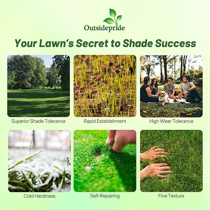 Outsidepride 5 Lbs Supranova Shade Grass Mix of POA Supina & Rough Bluegrass - Shade Tolerant Grass Seed for Golf Courses, Athletic Fields, & Outdoor Lawns, OptiGrowth Coated for Seed Enhancement