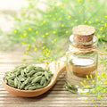Eden Brothers Fennel Seeds