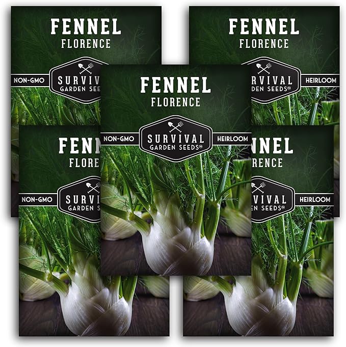 Fennel Seed for Planting - 5 Packets with Instructions to Grow Cool-Weather Florence Fennel (Finnochio) in Your Home Vegetable Garden - Non-GMO Heirloom Variety - Survival Garden Seeds