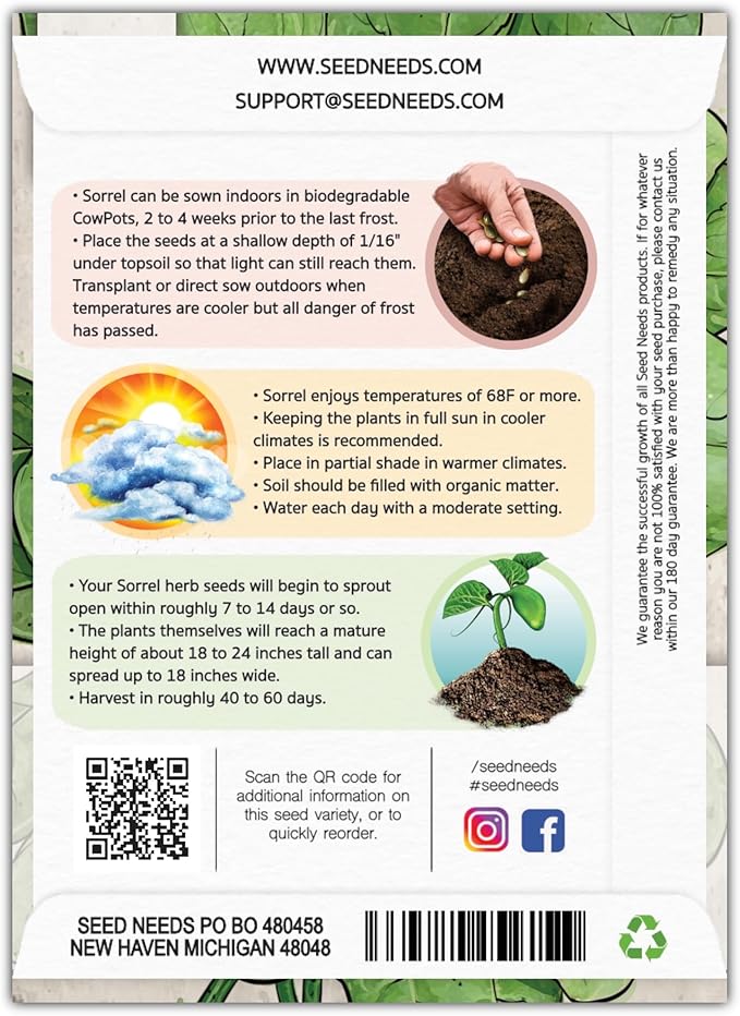 Seed Needs Large Leaf Sorrel Seeds for Planting - Heirloom Non-GMO & Untreated Medicinal or Culinary Herb - Grow a Home Grown Outdoor Garden (5 Packs)