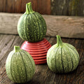 Round Zucchini Seed - 1 LB ~4,000 Seeds - Heirloom, Open Pollinated, Non-GMO, Farm & Vegetable Gardening Seeds - Summer Squash