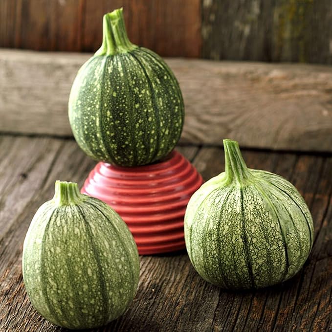 Round Zucchini Seed - 1/4 LB ~1,000 Seeds - Heirloom, Open Pollinated, Non-GMO, Farm & Vegetable Gardening Seeds - Summer Squash