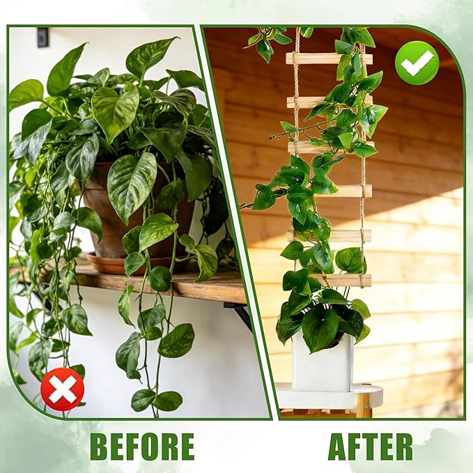 Extra Tall 6ft Wooden Ladder Trellis for Climbing Plants - Sturdy Indoor/Outdoor Plant Support,Easy Assembly & Space-Saving Vertical Garden Decor for Potted Plants, Vines, Pothos, Monstera