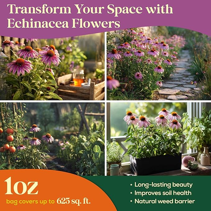 Seedphony Echinacea Seed Pack 1 oz - 9,300 Non-GMO Heirloom Echinacea Seeds for Planting, Perennial Flowers in Waterproof Seed Packet, Coneflower Seeds for Planting Garden Indoor & Outdoor Gardening