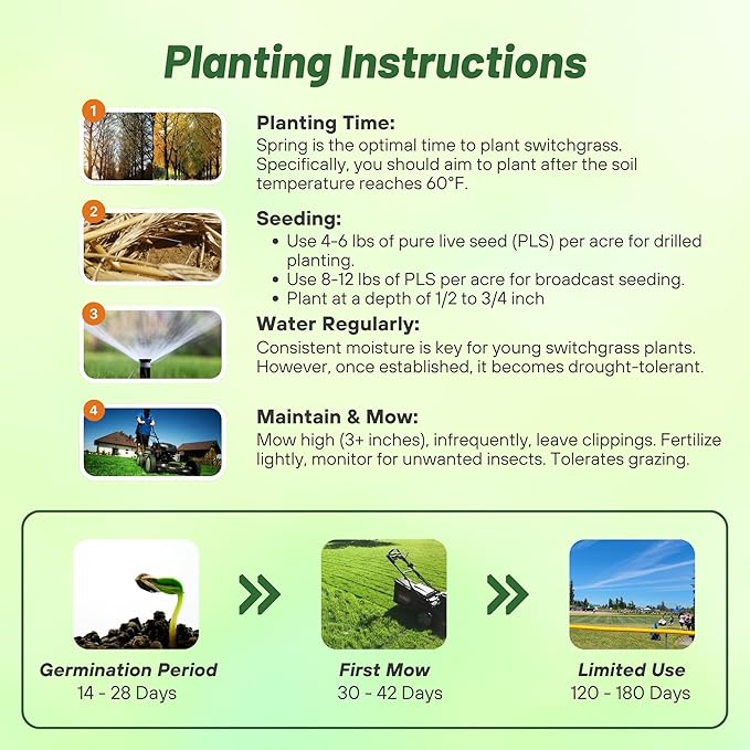 Outsidepride Switchgrass Seed - 10 lbs. Perennial Hardy, Drought & Flood Tolerant Native Grass Seed Ideal Fast-Growing Grasses for Erosion Control, Wildlife Forage & Food Plots, Thrives in Poor Soil