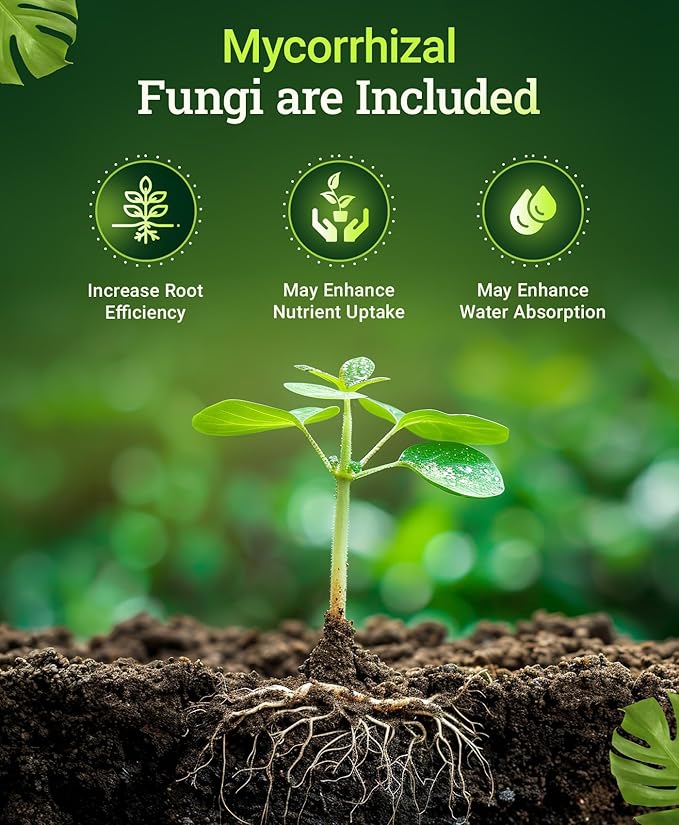 FoxFarm Happy Frog Steamed Bone Meal Fertilizer - Fine-Screened Phosphorus Fertilizer with Calcium & Mycorrhizal Fungi, Supports Strong Cell Development & Abundant Blossoms - 3-12-0, 4 lb