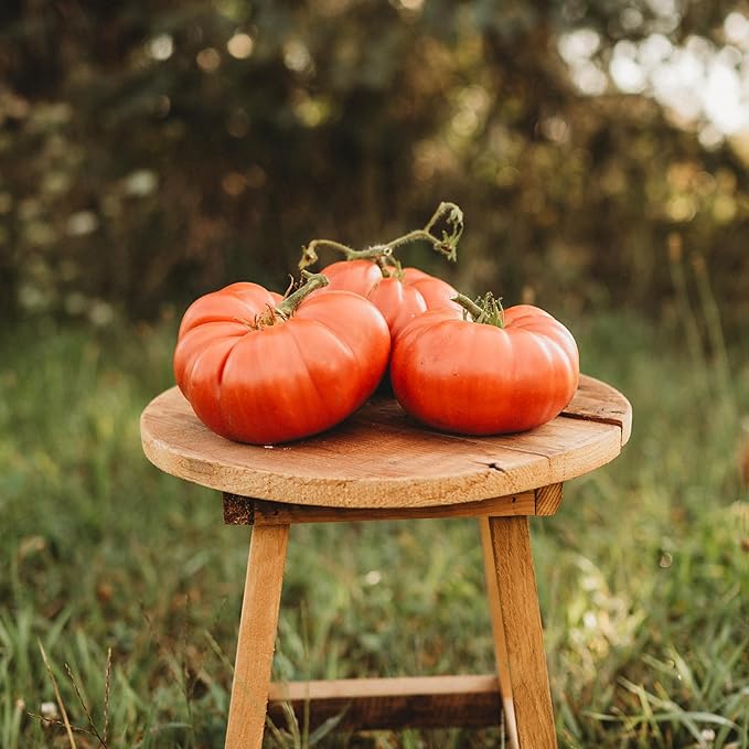Andrew Rahart's Jumbo Red Heirloom Tomato - 50 Seeds - Rare Heirloom & Open-Pollinated Variety, USA-Grown, Non-GMO Vegetable Seeds for Planting Outdoors in The Home Garden, Thresh Seed Company