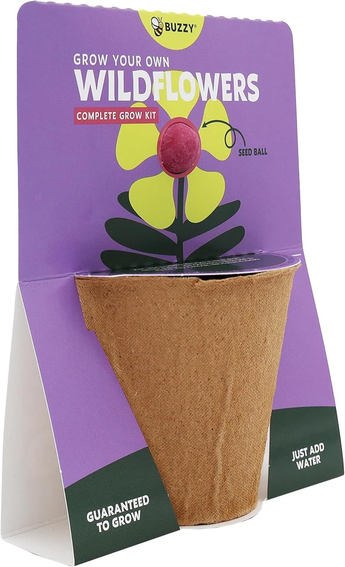 BUZZY Seeds Wildflower Seed Ball Cup 6-Pack – Over 50 Seeds Per Ball, Colorful Decorative Seed Balls in Biodegradable Cups with Growing Medium – Indoor Gardening Gift Set