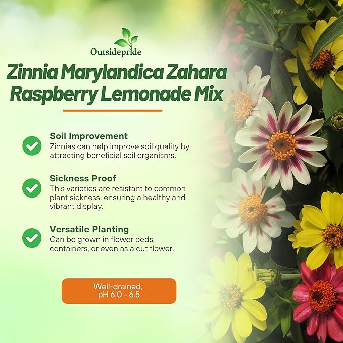 Outsidepride Zahara Raspberry Lemonade Mix Zinnia Seeds - 100 Pcs Annual, Heat & Drought Tolerant Flower Seeds for Planting w/Vibrant Blooms for Pollinator Gardens & Floral Arrangements