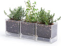 D'vine Dev 4 Inch Herb Planter Pot, Plastic Planter with Drainage Holes and Saucer, Modern Decorative Gardening Pot for Indoor Plants, Flowers, Herbs, Succulents, Clear, Set of 3, 76-Y-D-3