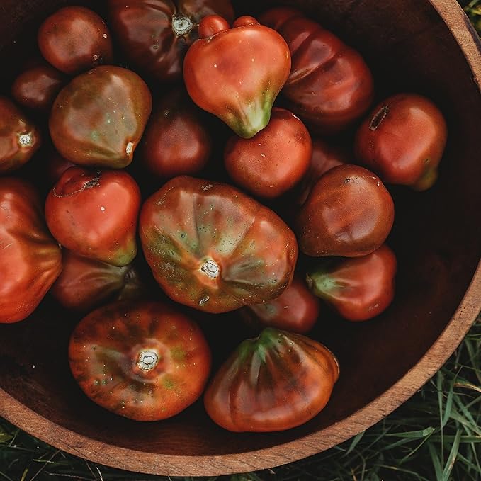 Japanese Trifele Black Heirloom Plum/Paste Tomato - 50 Seeds - Heirloom & Open-Pollinated Variety, Non-GMO Vegetable Seeds for Planting in The Home Garden, Thresh Seed Company