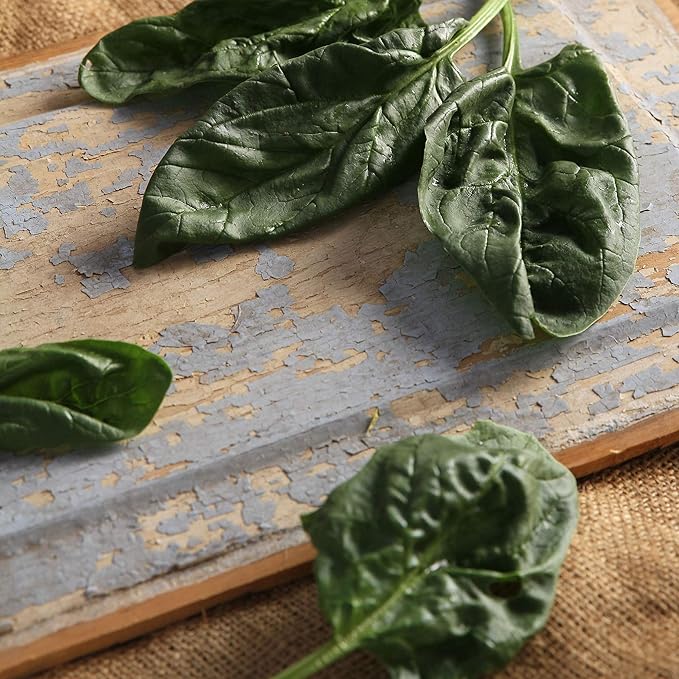 Organic Bloomsdale Long Standing Spinach - 1/4 LB ~8,400 Seeds - Non-GMO, Open Pollinated, Heirloom, Vegetable Gardening & Micro Greens Seeds
