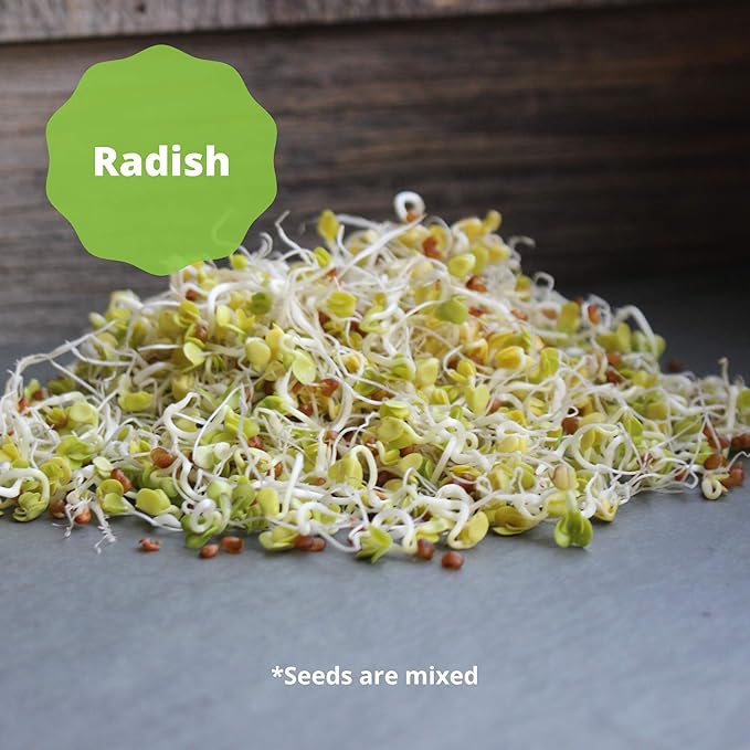 Handy Pantry Organic Salad Sprouting & Microgreens Mix – 2.5 LB – Non-GMO, High-Germination Blend of Alfalfa, Broccoli, Lentil, Mung Bean & Radish Seed – Fresh, Crisp Sprouts & Nutritious Micro Green