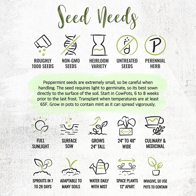Seed Needs Peppermint Seeds for Planting - Non-GMO, Heirloom & Untreated - Medicinal/Culinary Herb to Plant a Home Grown Indoor or Outdoor Garden (5 Packs)