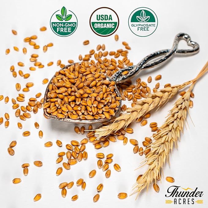 Thunder Acres Premium Soft Red Winter Wheat Seed (1, Pounds)