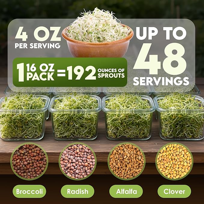 Nature Jims Sprouts Organic Salad Mix – Non-GMO Microgreen Seeds for Growing – Healthy Broccoli, Alfalfa, Radish & Clover Sprouting Variety Blend – Microgreens & Sprouts Seeds for Home Gardening – 1lb