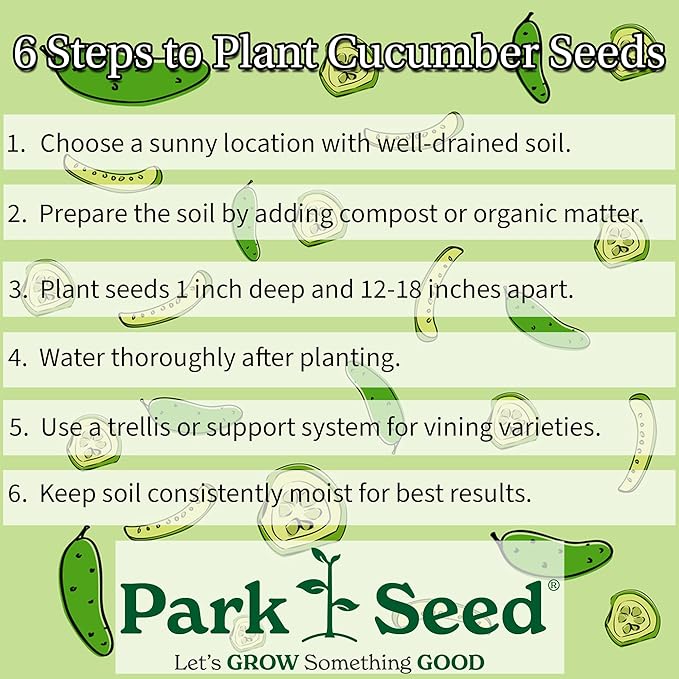 Park Seed Variety of Cucumber Seeds, Planting Cucumbers, Vegetable Seeds, Easy to Grow, Non-GMO, Perfect for Harvesting, Homemade Pickles, Pack of 30