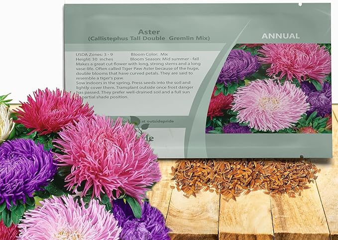 Outsidepride Gremlin Aster Seeds - 2000 Pcs. Annual, Hardy & Pollinator Friendly Flower Seeds for Planting Vibrant Mix Blooms and Oval-Shaped Leaves, Great for Meadows & Aesthetic Gardens