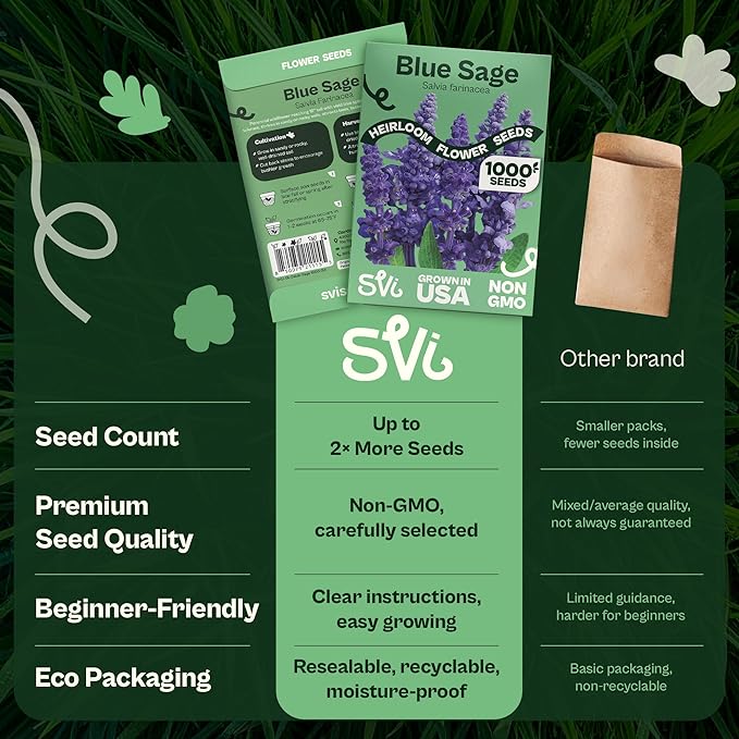 SVI 1000 Blue Sage Seeds for Planting (Salvia farinacea) - Heirloom Sage, Salvia Perennial Wildflower - Flower Seeds to Plant Outside in Pollinator Garden, Meadows, Borders, Beds