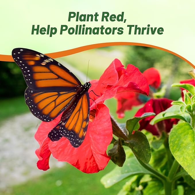 Outsidepride Red Multiflora Petunia Seeds - 250 Pcs. Annual, Compact, Flower Seeds for Planting, Vibrant Blooms, Ideal for Garden Beds, Hanging Baskets & Container Displays