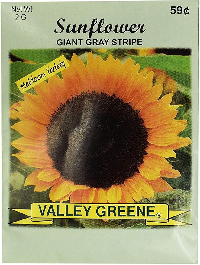 Set of 100 Flower Seed Packets! Flower Seeds in Bulk - Great for Creating The Garden of Your Dreams! (100, Sunflower - Giant Gray Stripe)