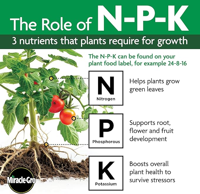 Miracle-Gro Performance Organics All Purpose Plant Nutrition, 1 lb. - All Natural Plant Food For Vegetables, Flowers and Herbs - Apply Every 7 Days For Best Results - Feeds up to 200 sq. ft.