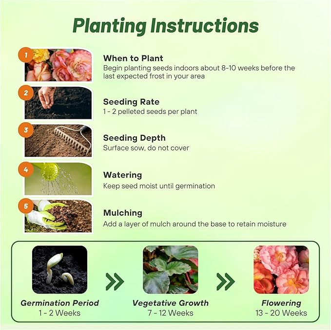 Outsidepride Sunrise Limitless Begonia Seeds for Planting - 25 Pcs Perennial Flower Seeds with Large Blooms, Arching & Pendulous Growth Habit, for Containers, Hanging Baskets, or Landscape Plantings