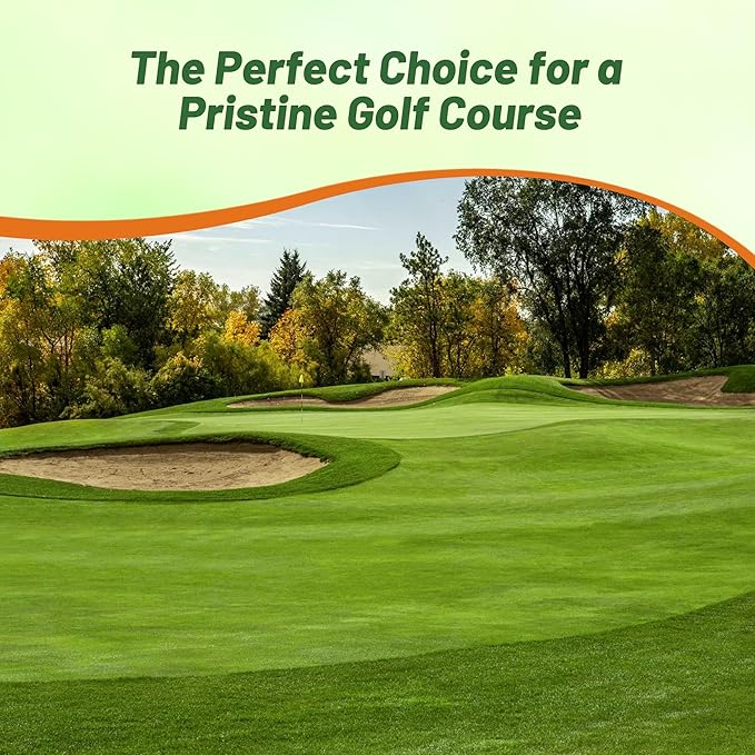 Outsidepride V8 Creeping Bentgrass Seed - 2 lbs. Fine-Bladed, Premium Quality Turf, Grass Seeds for Smooth Surface, & High-Traffic Areas, Ideal Grass for Golf Courses Putting Greens, & Fairways