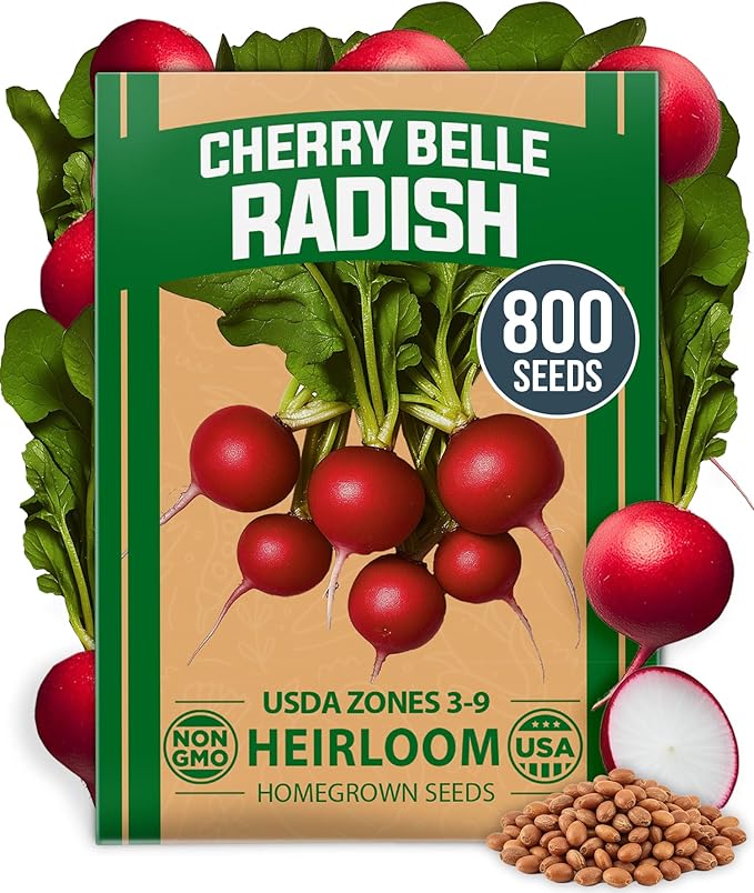 Root Vegetable Seed Variety Pack – Over 8,600 Non-GMO USA Heirloom Seeds: Arugula, Tendersweet Carrots, Detroit Dark Red Beets & Cherry Belle Radish – Fast Growing for Spring & Fall Gardens