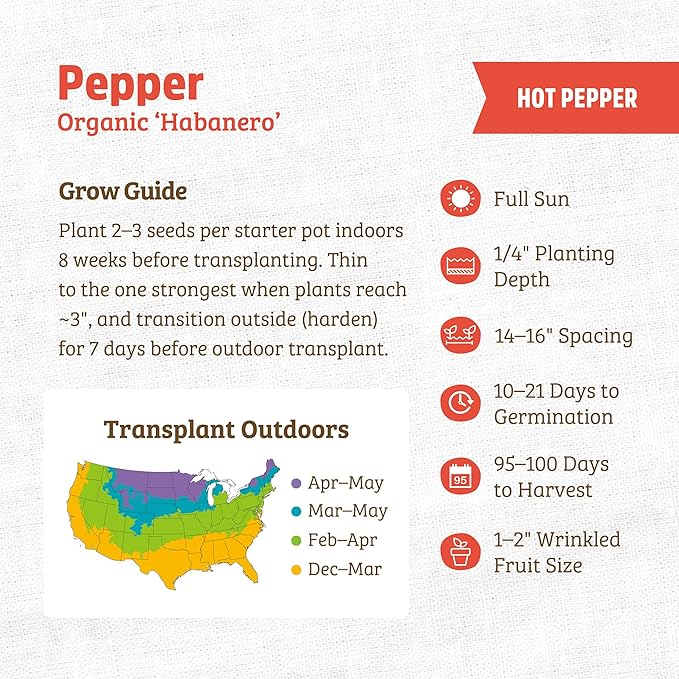 Back to The Roots 100% Organic Heirloom Seeds - Habanero Pepper Seeds for Planting Value Pack (280mg Total)