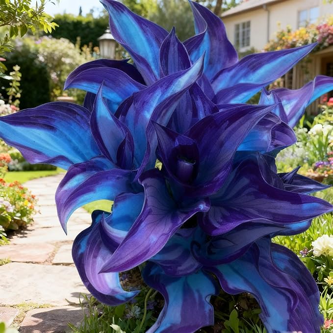 Hosta Seeds for Planting, 295+pcs Perennial Rare Hosta Flower Seeds Plants, Non-GMO Heirloom Long Blooming Plants Shaded Entry Pathway Rare Flowers for Garden Outdoors