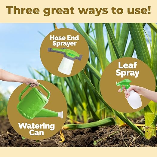 Garlic Fertilizer – Liquid Plant Food for Bigger Bulbs & Strong Root Development, 32 oz