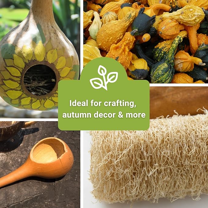 Sow Right Seeds - Gourd Seed Collection for Planting - Packets of Decorative, Luffa, Dipper & Bottle Gourds - Grow Your Own Crafts, Home Decor & More - Non-GMO Heirloom Packets with Instructions