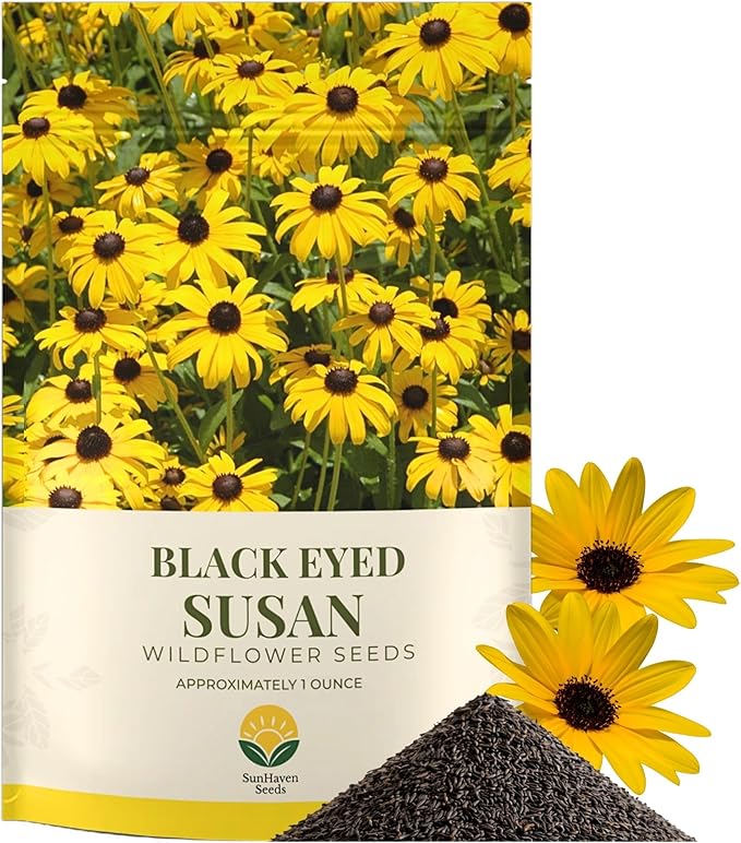 Black Eyed Susan Seeds – 100,000+ Seeds – 1 oz Bulk Extra Large Resealable Packet – Premium Non-GMO Rudbeckia hirta Wildflower Seeds with Bright Yellow Blooms