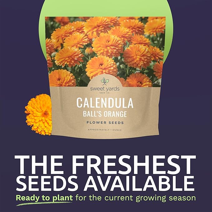 SWEET YARDS Calendula Balls Orange
